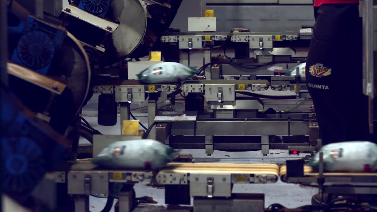 empaquetado de la fábrica de granos de café saliendo de la cinta transportadora