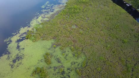 4k aerial clip looking down at wetlands that divide a canal from the lake, algae, green trees, blue water, shot in sunny summer conditions during magic hour in mid michigan, usa, near harrison, mi