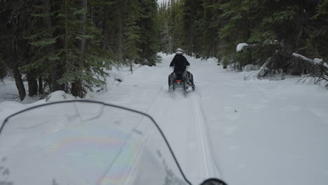 snowmobiling through woods in the winter