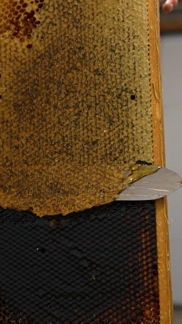 full honey frame covered with wax covers. male beekeeper's hand uses knife to uncover the honeycombs for removal of honey. close up. vertical video