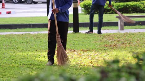 person methodically cleaning up leaves with a broom