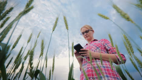 Mujer-Campesina-Que-Trabaja-En-Un-Campo-De-Trigo-Con-Un-Teléfono-De-ángulo-Inferior-De-Tiro