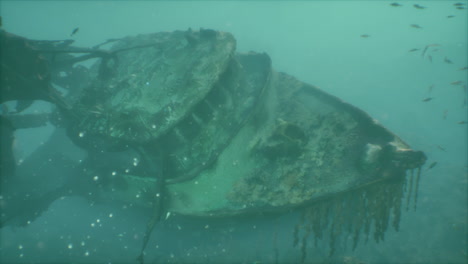 sunken shipwreck in the ocean