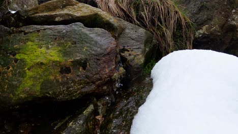 wide angle of small water stream from rock during winter season, medium shot