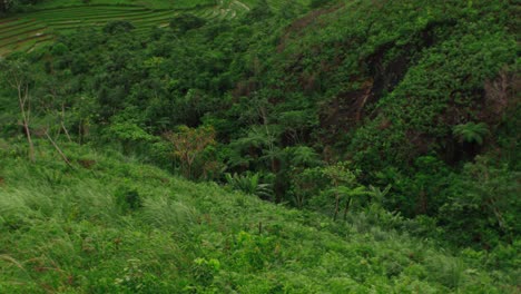 Nature-dominates-agriculture