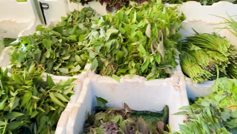 variety of fresh herbs displayed in market