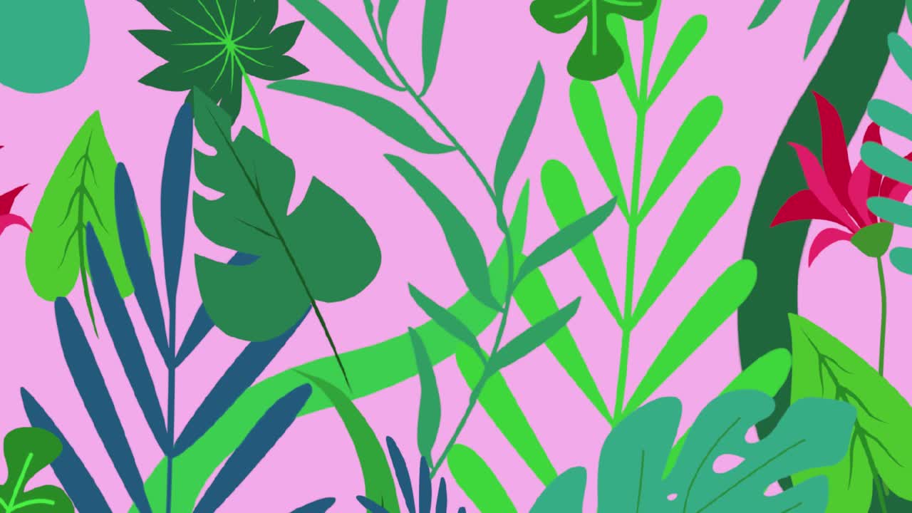 selva naturaleza fondo borroso verde flores bosque selva tropical desenfoque bokeh 4k fondos youtube