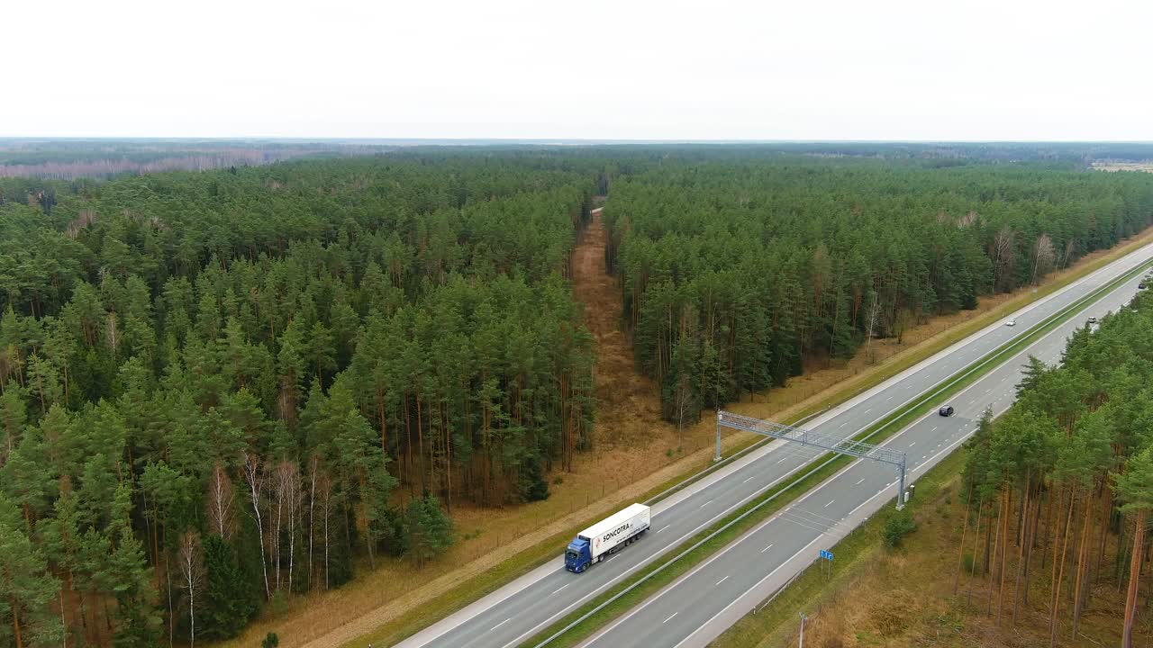 Линия вырубки соснового леса у автомагистрали, вид с дрона
