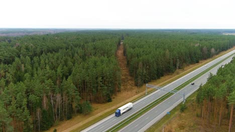 cut line of pine tree forest near highway road, aerial drone view