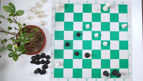 Man-Playing-Chess-On-The-Table-With-A-Pot-Of-Ornamental-Plant-On-The-Side