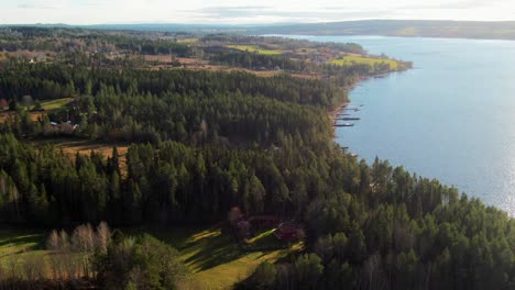 countryside pine tree woodlands in river lake town farm fields near ã–stersund, sweden