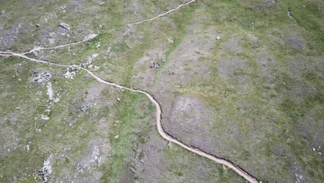 campo de hierba en una fachada de montaña en los alpes suizos, camino de grava y caminantes, vista aérea de drones
