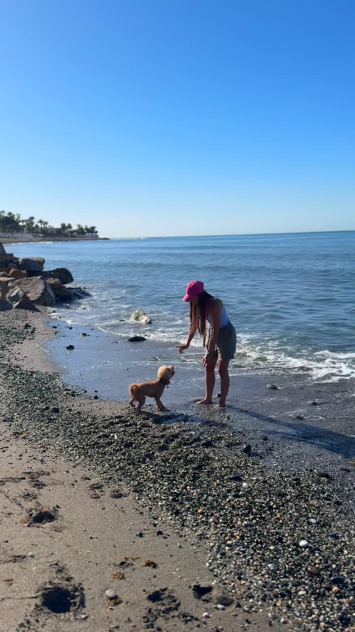rapariga e cão na praia