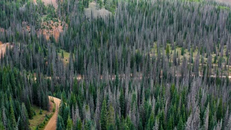 Gorgeous-red-mountain-towering-over-forest-trees-in-Colorado