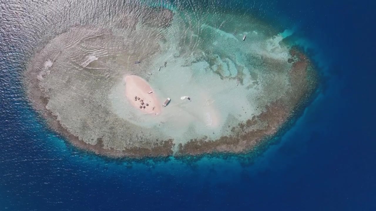 Vista aerea a volo d'uccello di una piccola isola corallina e barriere coralline in acqua di mare blu. Cayo Arena, Repubblica Dominicana.