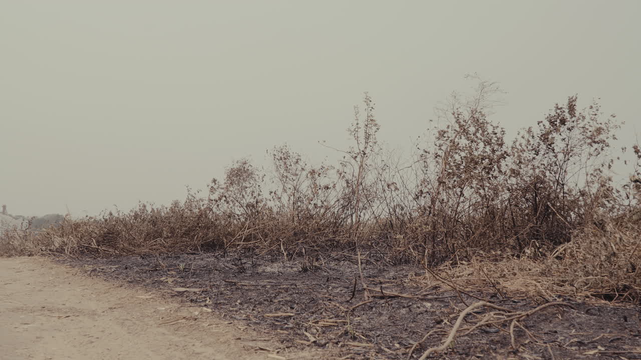 Scorched Landscape by Rural Area. The Aftereffects of Environmental Destruction. Climate Change
