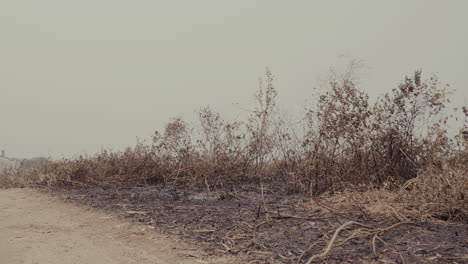 scorched landscape by rural area. the aftereffects of environmental destruction. climate change