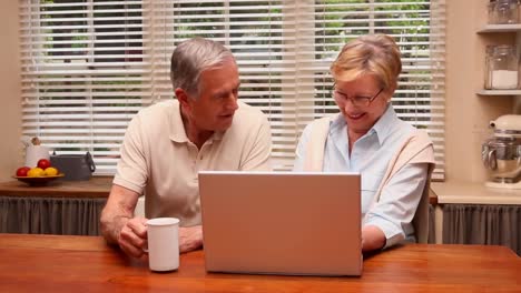 Älteres-Paar-Benutzt-Gemeinsam-Laptop