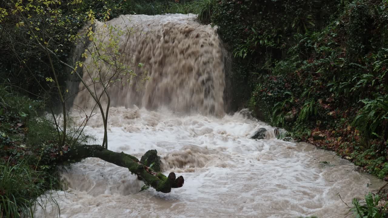 강력한 강 범람이 있는 습한 야생 풍경 - 돌진하는 물