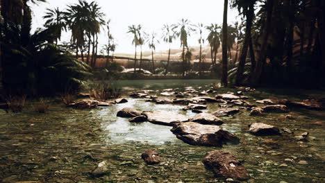 Panorama-of-Beautiful-Oasis-surrounded-by-sand-dunes