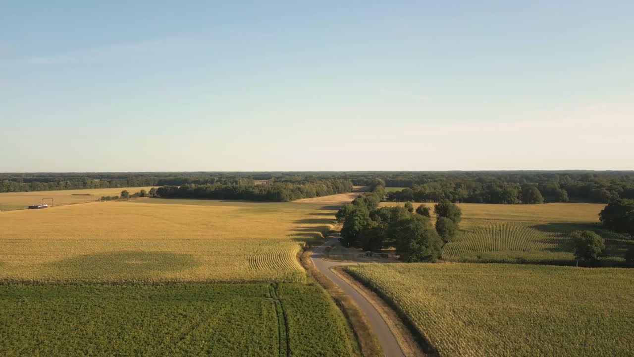Aerial View of a Cornfield and Country Road