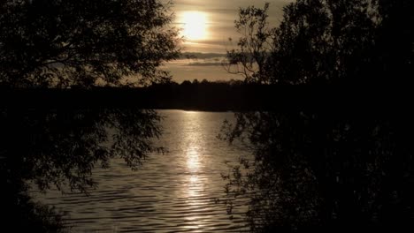 Puesta-De-Sol-Sobre-El-Lago-A-Través-Del-Bosque-Con-Una-Suave-Brisa