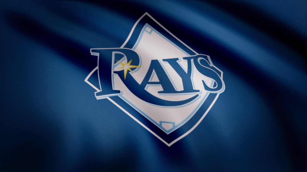 la bandera de las rayas de la bahía de tampa