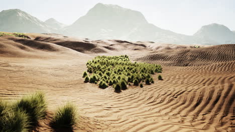 mohave desert landscape with blue cloudy skies