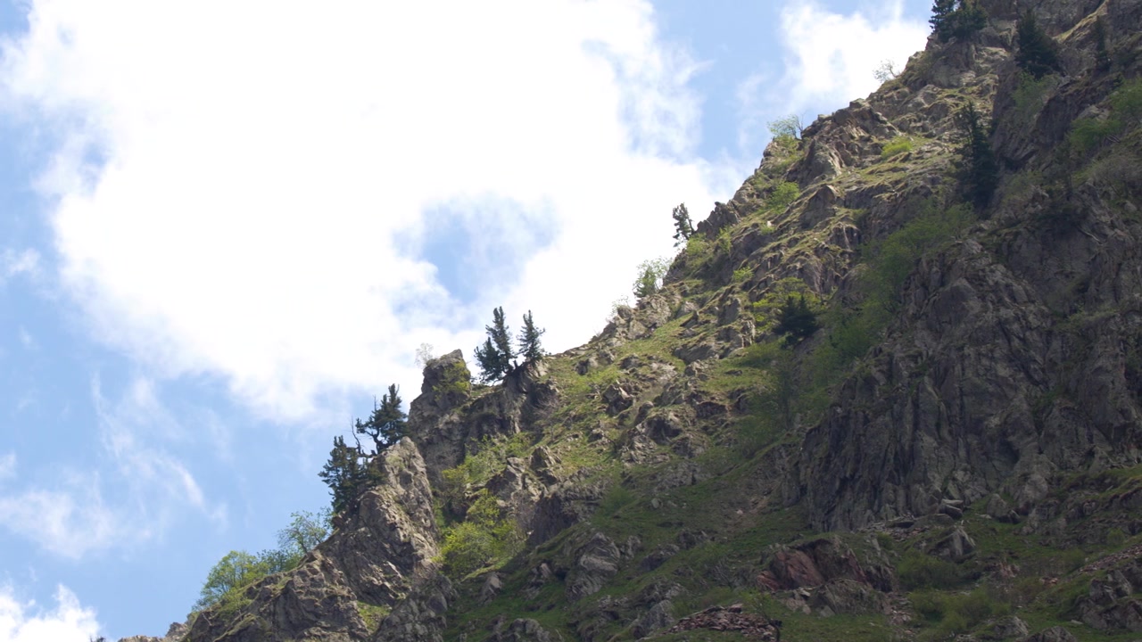 Toma en ángulo bajo de escarpados acantilados alpinos y vegetación verde en el Lago della Rovina, Italia