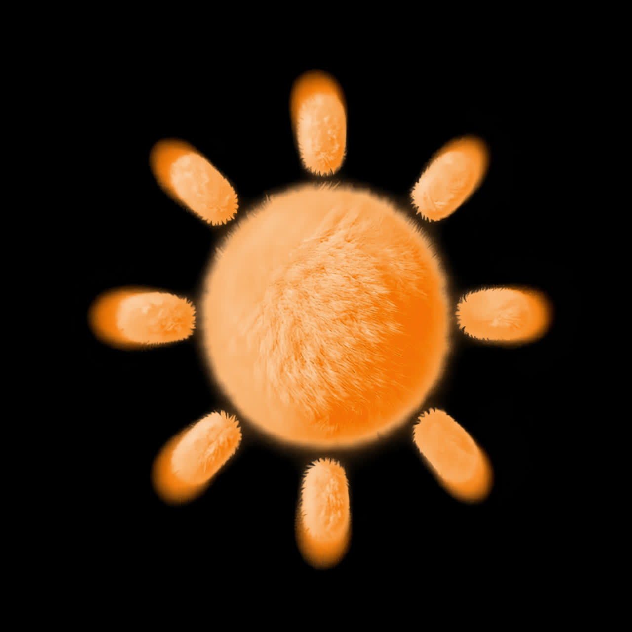 Fuzzy Orange Sun