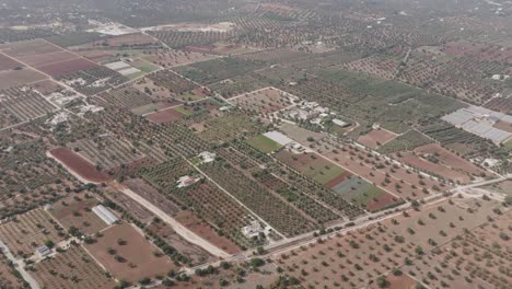 Amplio-Paso-Aéreo-De-Granjas-De-Olivos-En-El-Sur-De-Italia,-Puglia.