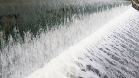 peces saltando río vertedero en la migración aguas arriba