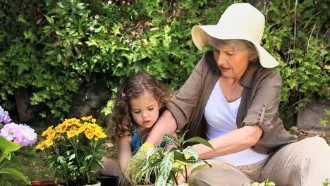 Großmutter-Und-Ihre-Enkelin-Bei-Der-Gartenarbeit