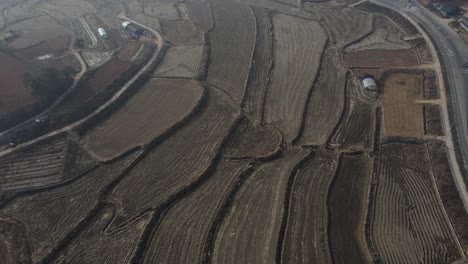 Bewirtschaftung-Landwirtschaftlicher-Feldterrassen-Bei-Goheung