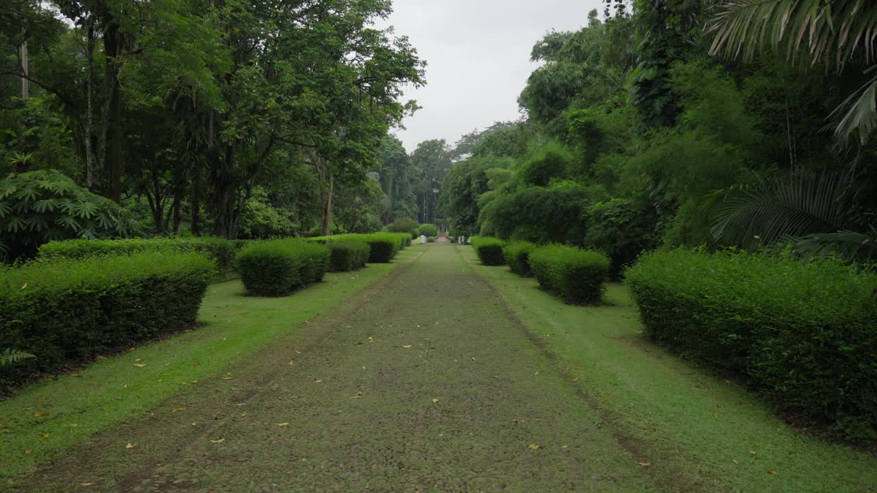 In a garden path so green, trimmed hedges line the tranquil scene