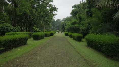in a garden path so green, trimmed hedges line the tranquil scene