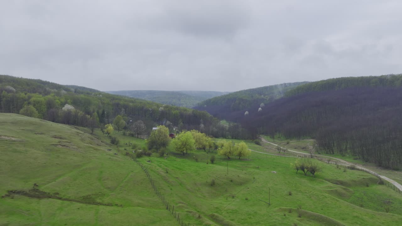 травянистые горные склоны и лес в ангелести, румыния