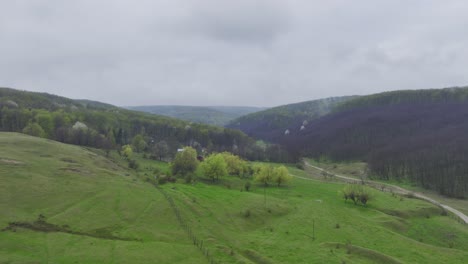 Laderas-De-Montañas-Cubiertas-De-Hierba-Y-Bosques-En-Anghelesti,-Rumania