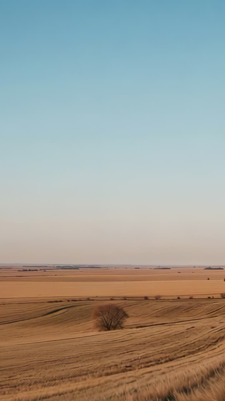 Vertical video: Panning camera capturing solitary deciduous tree drifting across rolling farmland