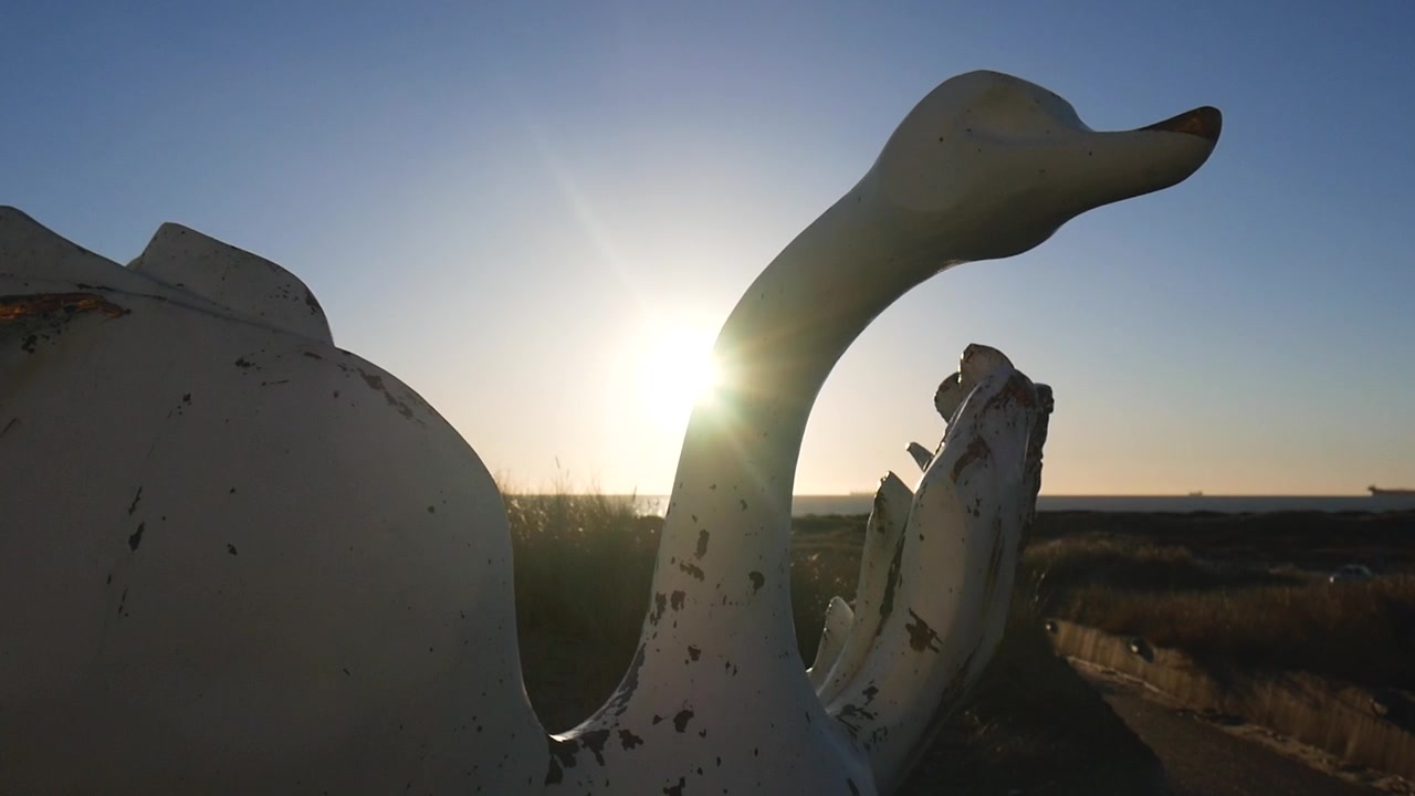 Uno scatto di una statua di cigno appassita e abbandonata sulla spiaggia di Skagen al mare, all'alba