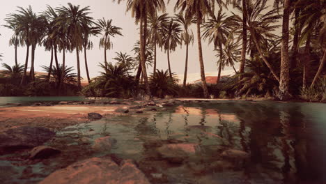 colorful scene with a palm tree over a small pond in a desert oasis