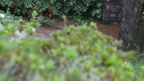 Reveal-shot-of-a-small-muddy-stream-that-runs-under-a-bridge