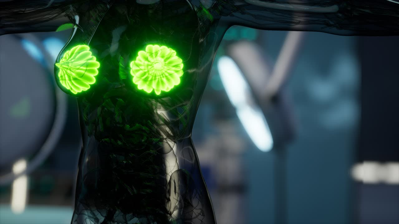 여성 유방 의 의학적 검사