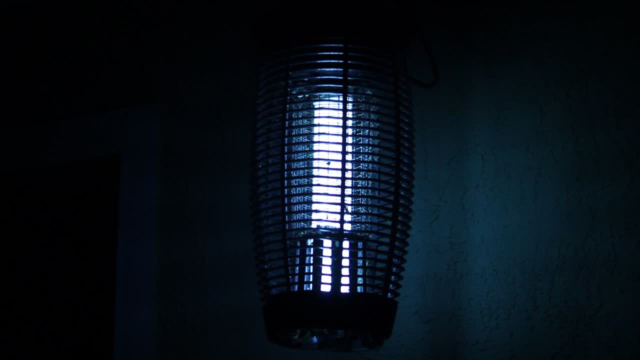 exterminador de insectos por la noche insectos electrocutantes plano medio