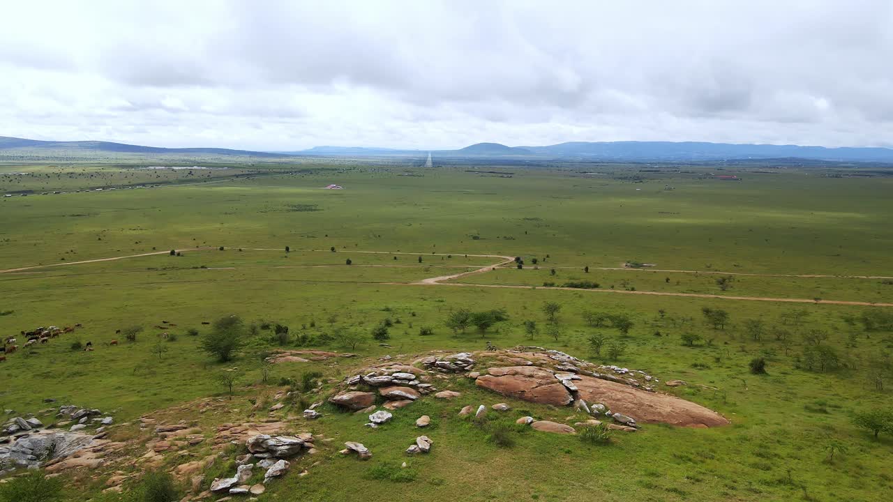 Vast green landscape with scattered rocks, bushes, and a dirt road. A small herd of cattle grazes peacefully under a cloudy sky.