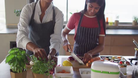 Video-of-happy-diverse-female-friends-cutting-vegetables-and-preparing-meal