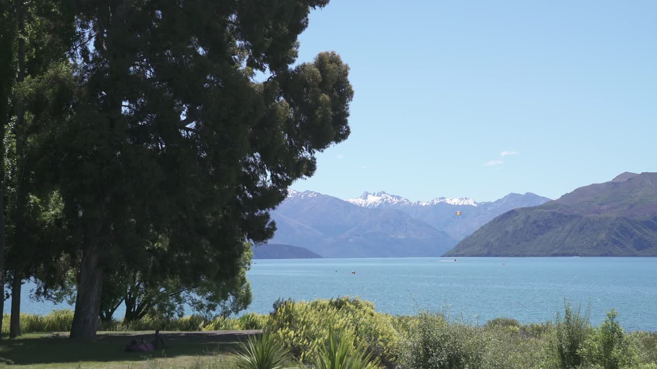 lake in wanaka and lavender flowers