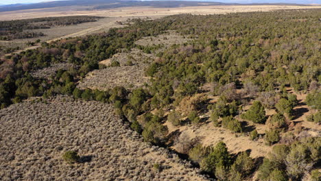 Aufsteigende-Drohnenaufnahmen-Aus-Der-Luft-Der-Flacheisen-Felsformationen-In-Colorado