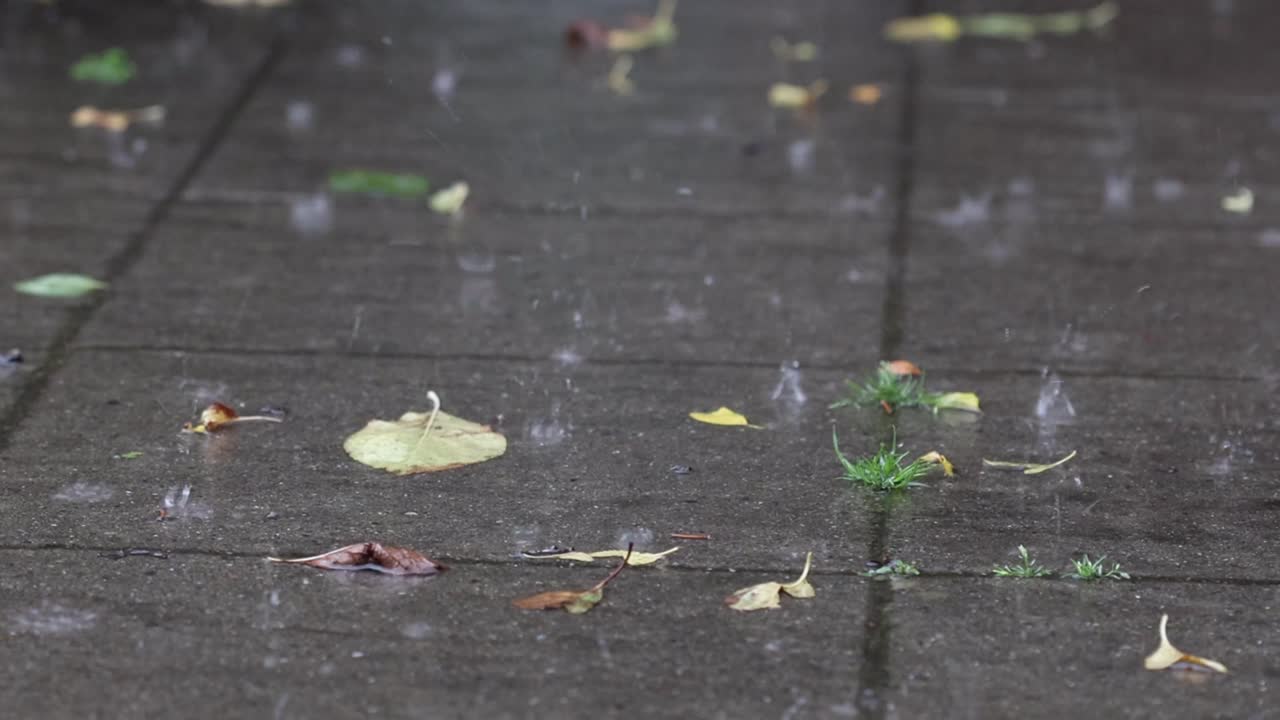 Heavy raindrops splashing onto concrete slabs with fallen leaves. Autumn. UK