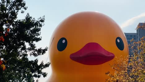 Die-Größte-Riesige-Gummiente-Der-Welt-Kehrt-Im-September-In-Toronto-Am-Queens-Quay-East-Zurück